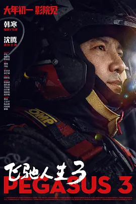 久久精品成人