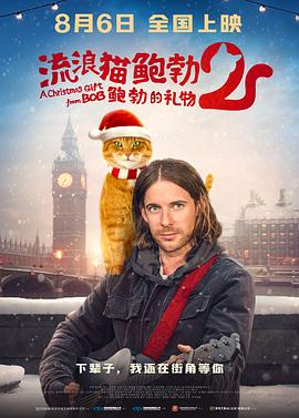 猫咪成人官网