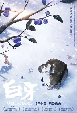 激情四射的夜晚