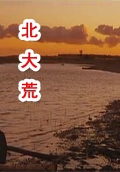 阿姨的秘密