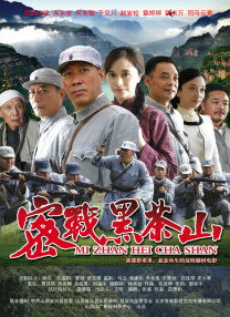 国内精品一区二区在线观看